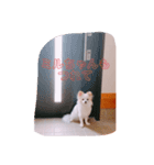 ミル2（個別スタンプ：1）