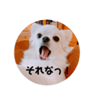 ミル2（個別スタンプ：3）
