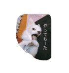 ミル2（個別スタンプ：5）