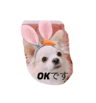 ミル2（個別スタンプ：7）