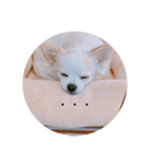 ミル2（個別スタンプ：8）
