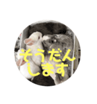 こうさぎちゃん（個別スタンプ：5）