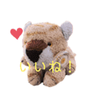 トラのぬいぐるみのトラこ2（個別スタンプ：1）