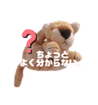 トラのぬいぐるみのトラこ2（個別スタンプ：3）