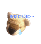 トラのぬいぐるみのトラこ2（個別スタンプ：6）