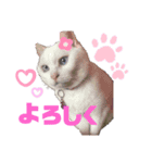 ねこまみれ！（個別スタンプ：5）