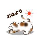 猫まみれにゃり（個別スタンプ：1）