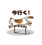 猫まみれにゃり（個別スタンプ：6）