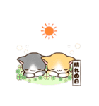 猫まみれにゃり（個別スタンプ：38）