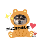 ぶんた～第1弾（個別スタンプ：3）