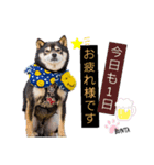 ぶんた～第1弾（個別スタンプ：7）