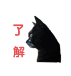 それいけ、summer君。（個別スタンプ：2）