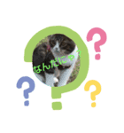 ぽこたろの表情part1（個別スタンプ：2）