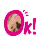 ぽこたろの表情part1（個別スタンプ：3）
