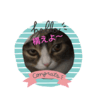 ぽこたろの表情part1（個別スタンプ：5）