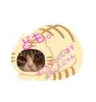 ぽこたろの表情part1（個別スタンプ：6）