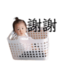 れの様コレクション 3（個別スタンプ：5）