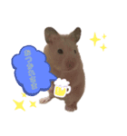 キンクマハムスターのいちごちゃん。2（個別スタンプ：6）