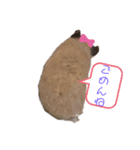 キンクマハムスターのいちごちゃん。2（個別スタンプ：7）