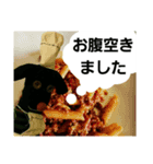犬のシェフと仲間たち5（個別スタンプ：3）