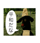 犬のシェフと仲間たち5（個別スタンプ：8）