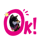 まいにち ゆずこ①（個別スタンプ：3）