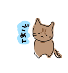 無口な猫のスタンプ（個別スタンプ：16）