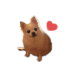 ショコラ だよ（個別スタンプ：1）