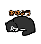 こてつのスタンプฅ^•ﻌ•^ฅ☆（個別スタンプ：1）