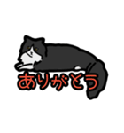 こてつのスタンプฅ^•ﻌ•^ฅ☆（個別スタンプ：3）