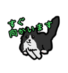こてつのスタンプฅ^•ﻌ•^ฅ☆（個別スタンプ：7）
