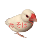 白文鳥すたんぷ❤（個別スタンプ：4）