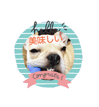 ココちゃんの表情part2（個別スタンプ：4）