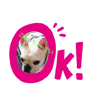 ココちゃんの表情part2（個別スタンプ：6）