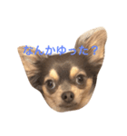 おてぃーさん（個別スタンプ：7）