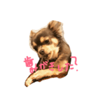 おてぃーさん（個別スタンプ：8）