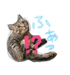 おりぶ  と  ゆっきー 1（個別スタンプ：4）