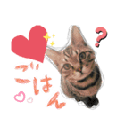おりぶ  と  ゆっきー 1（個別スタンプ：5）