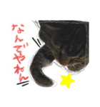おりぶ  と  ゆっきー 1（個別スタンプ：6）