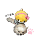 愉快なわんちゃんたち（個別スタンプ：1）