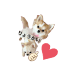 愉快なわんちゃんたち（個別スタンプ：2）