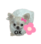 愉快なわんちゃんたち（個別スタンプ：3）