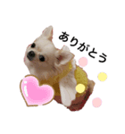 愉快なわんちゃんたち（個別スタンプ：7）