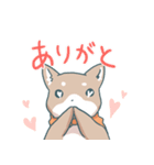 しばてなスタンプ（個別スタンプ：3）