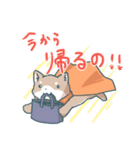 しばてなスタンプ（個別スタンプ：10）