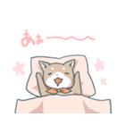 しばてなスタンプ（個別スタンプ：19）