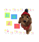 清水家のぽてとくん（個別スタンプ：1）