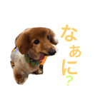 清水家のぽてとくん（個別スタンプ：6）