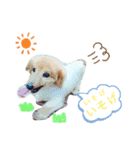 清水家のぽてとくん（個別スタンプ：7）