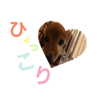 清水家のぽてとくん（個別スタンプ：8）